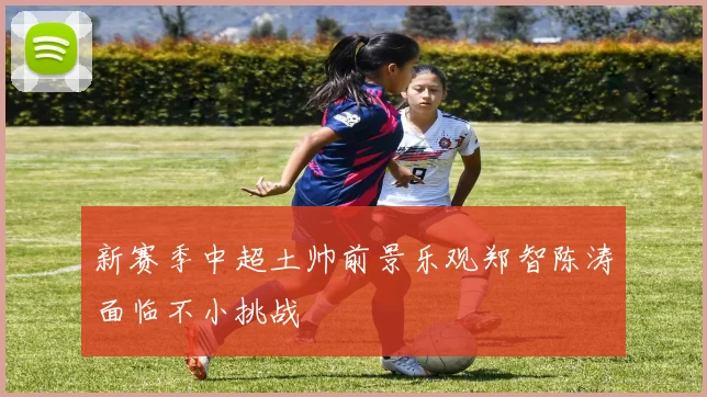 新赛季中超土帅前景乐观郑智陈涛面临不小挑战