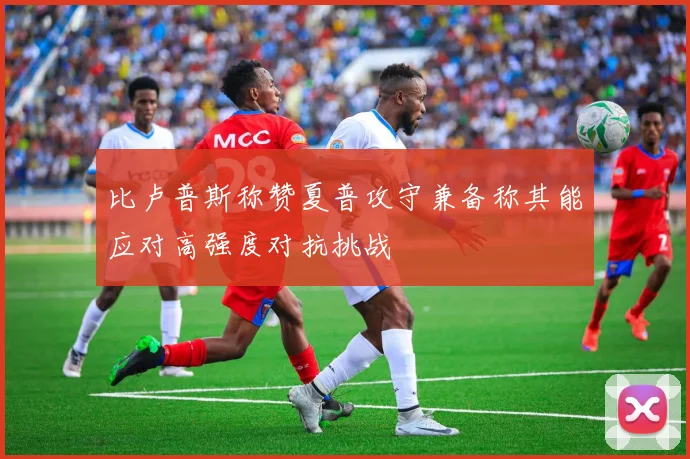 比卢普斯称赞夏普攻守兼备称其能应对高强度对抗挑战