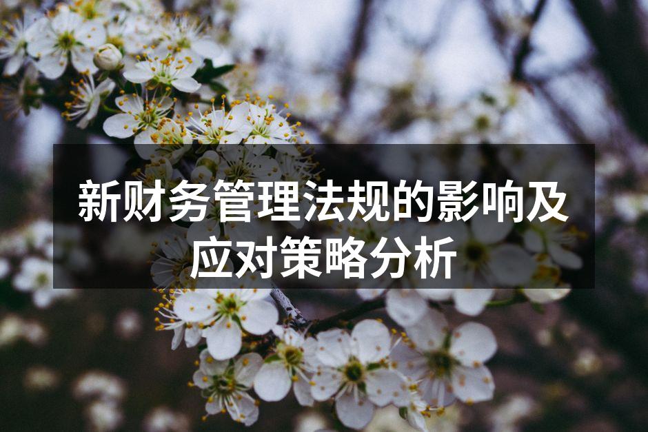 新财务管理法规的影响及应对策略分析