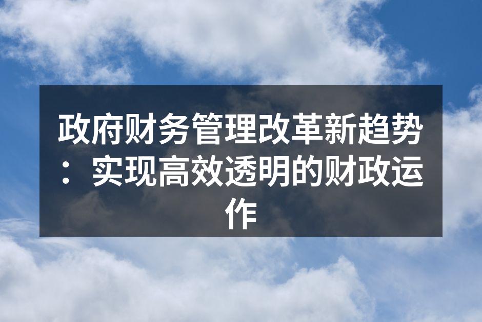 政府财务管理改革新趋势：实现高效透明的财