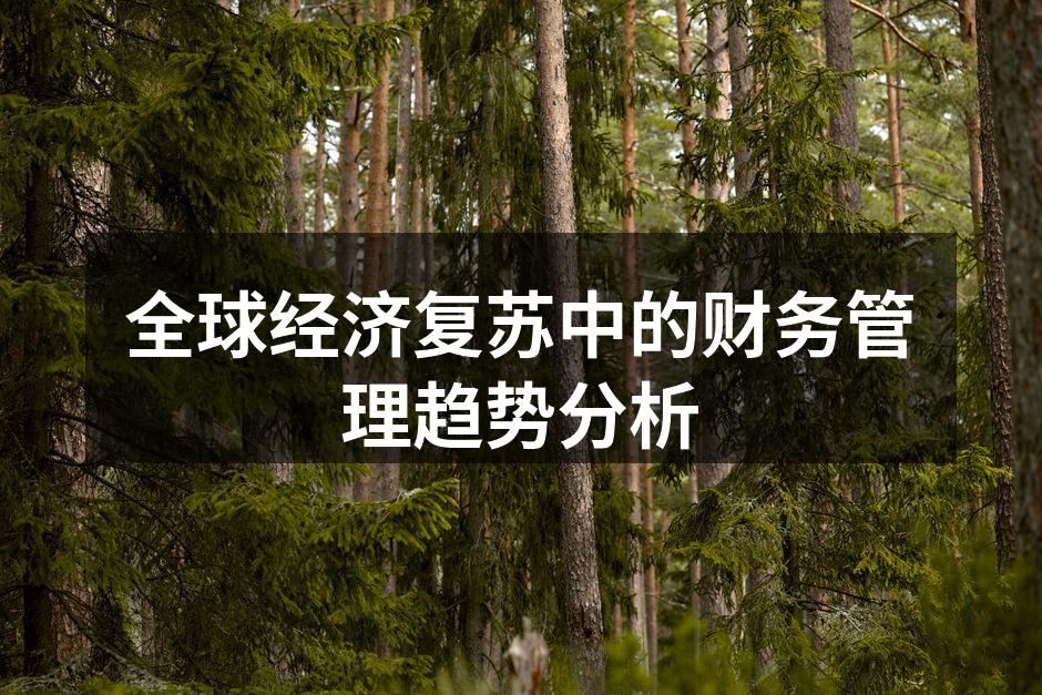 全球经济复苏中的财务管理趋势分析