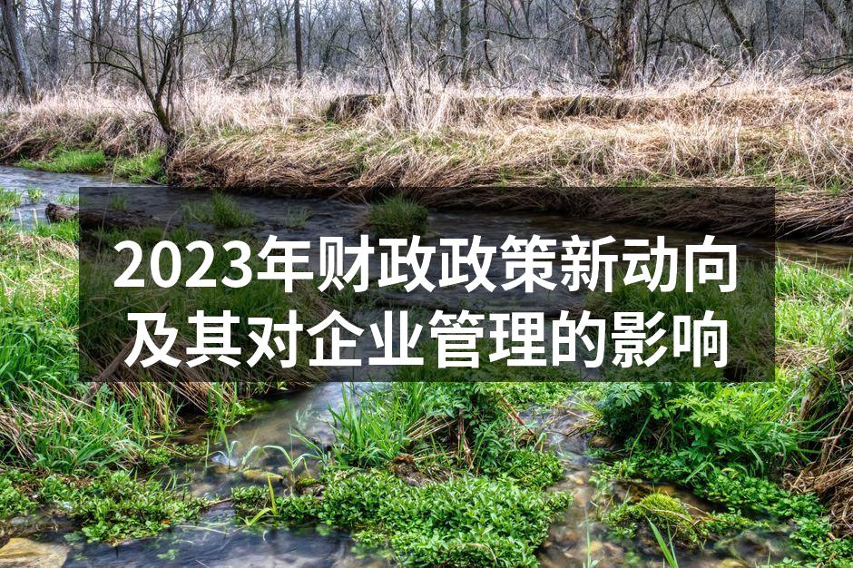 2023年财政政策新动向及其对企业管理的